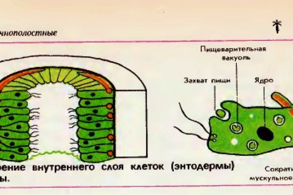 Нарко маркетплейс