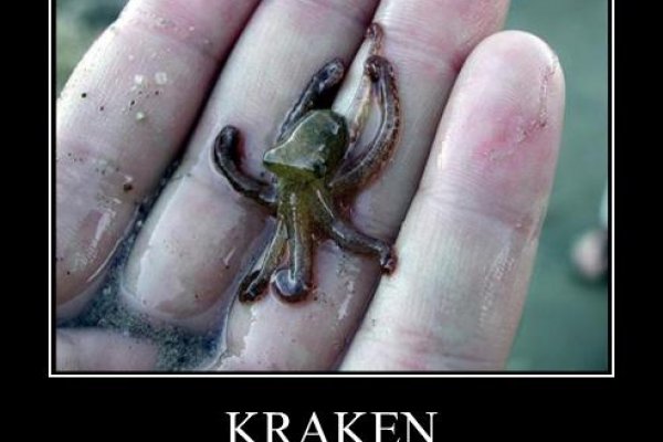 Kraken ссылка krakens13 at