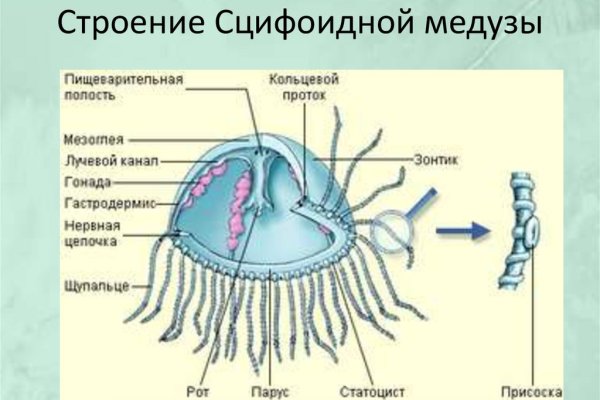 Kraken пользователь не найден при входе