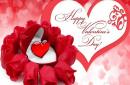Праздник день святого валентина, какого числа отмечают В каком месяце день влюбленных